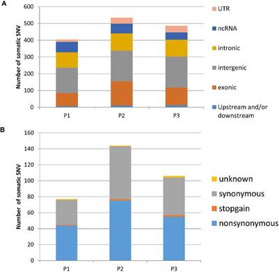 Identification of Somatic Genetic Alterations Using Whole-Exome Sequencing of Uterine Leiomyosarcoma Tumors